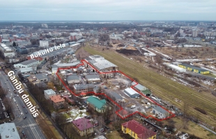 Ganību dambis - Attēls