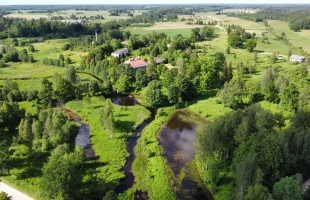 Bukas - Attēls