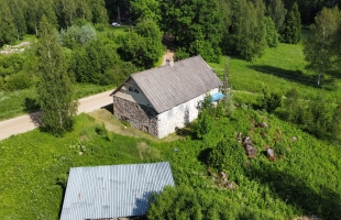 Bukas - Attēls