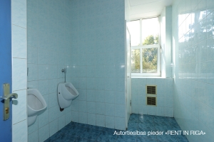 Senču - Attēls