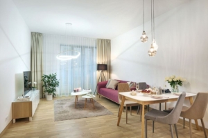 Ernesta Birznieka Upīša 13 - Изображение