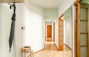 Dzirnavu 31 - Изображение