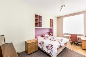 Dzirnavu 31 - Изображение