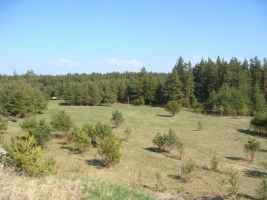 Raķešnieki - Attēls