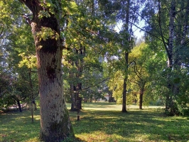Astras - Attēls