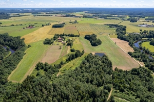 Vireši - Image