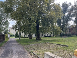 Katrīnas dambis - Attēls