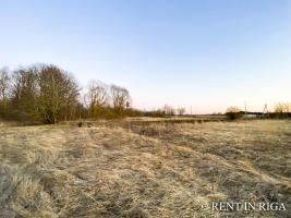 Reiniši - Attēls