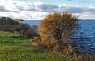 Daugavzeme - Attēls