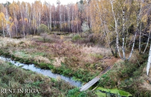 Krogsils - Attēls