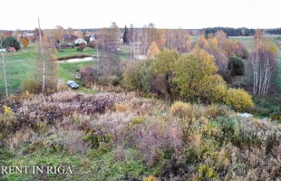 Krogsils - Attēls