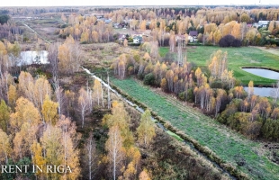 Krogsils - Attēls