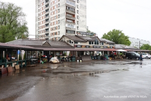 Dzelzavas - Image