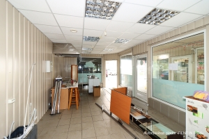 Dzelzavas - Image