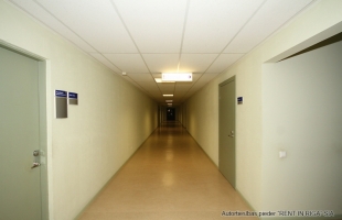 Kleistu - Attēls