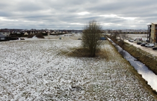 Mauriņu - Attēls