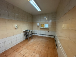Krišjāņa Barona - Attēls