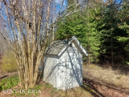 Purviņi - Image